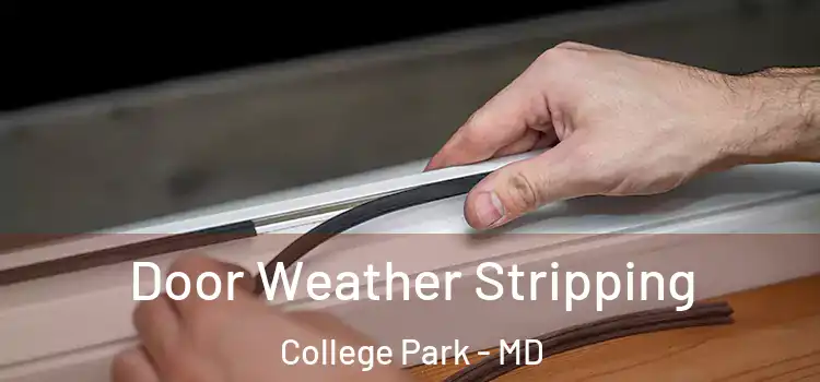 Door Weather Stripping College Park - MD