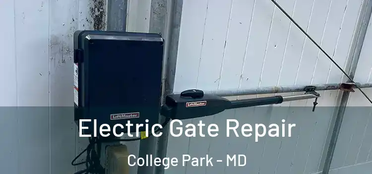 Electric Gate Repair College Park - MD