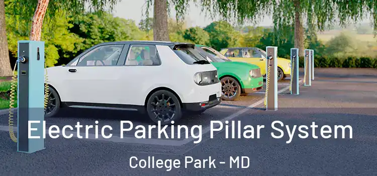 Electric Parking Pillar System College Park - MD