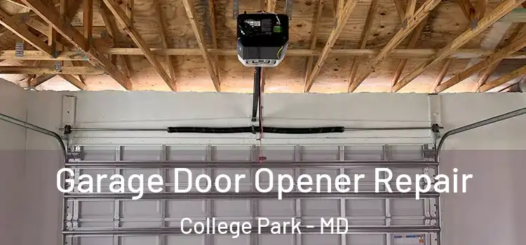  Garage Door Opener Repair College Park - MD