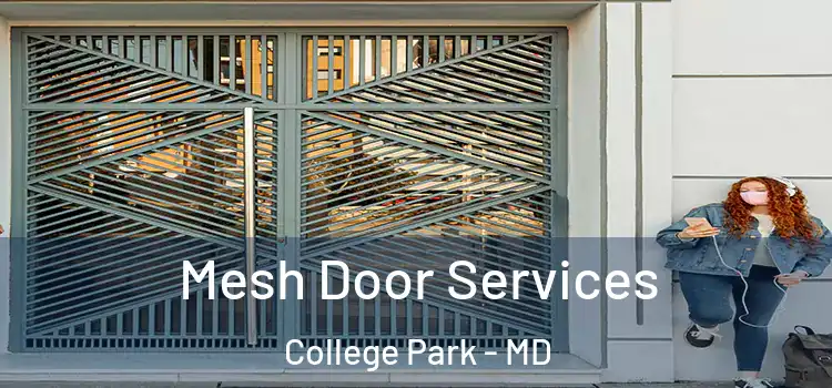 Mesh Door Services College Park - MD