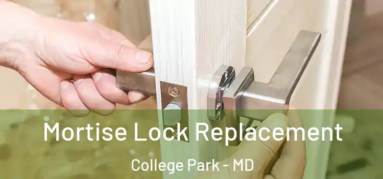 Mortise Lock Replacement College Park - MD